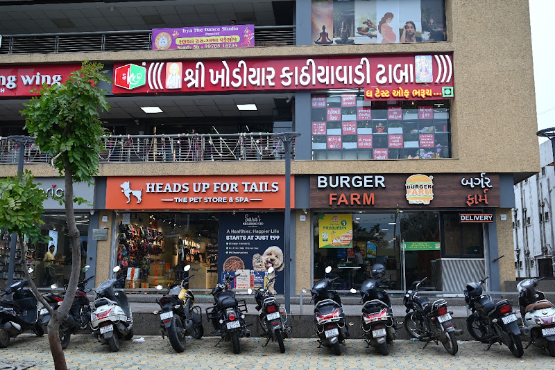 SHREE KHODIYAR KATHIYAWADI DHABA-THE TASTE OF BHARUCH