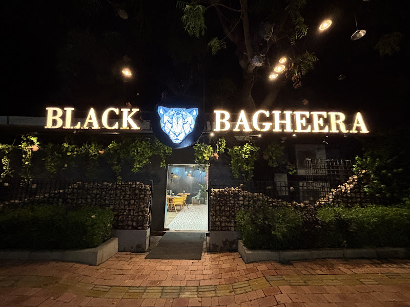 Black Bagheera