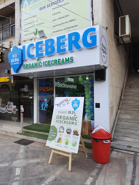 Iceberg Organic Icecreams