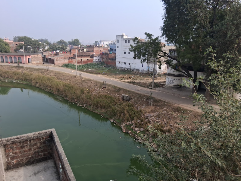Narsi