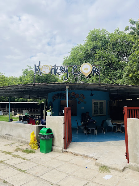 Monkey cafe