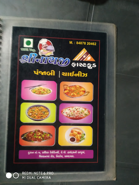 Shrinathji Fast Food