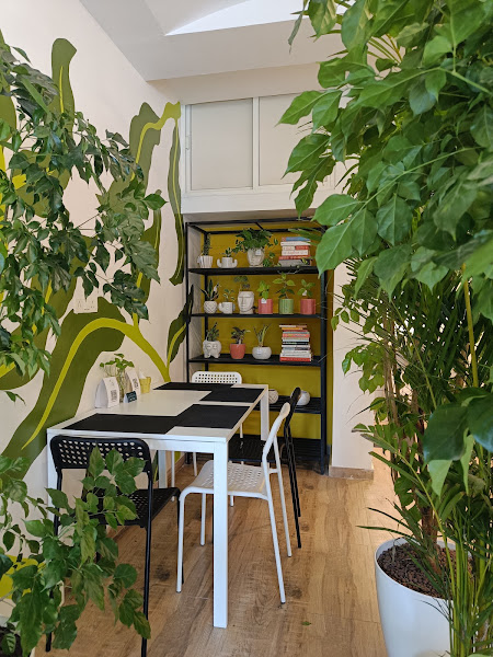 Crazy Plant Lady Café - Plant Store | Bakery | Events & Co-working Space